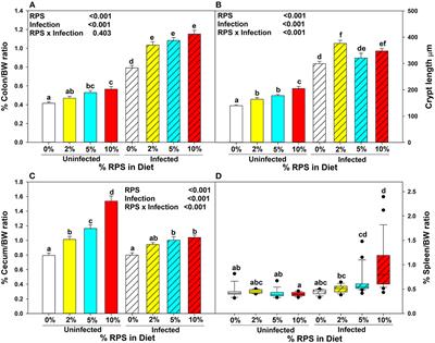 Raw potato starch alters the microbiome, colon and cecal gene expression, and resistance to Citrobacter rodentium infection in mice fed a Western diet